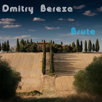 Dmitry Bereza - Brute