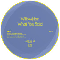 WillowMan - What You Said