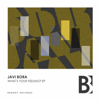 Javi Bora - What's Your Feeling? EP