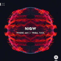 NiQW - Where Am I / Tribal Tool