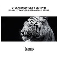 Stefano Sorge feat. Berny B - King Of My Castle (House Anatomy Classic Mix)