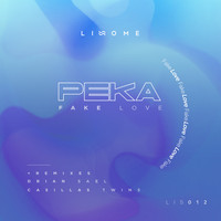 PeKa - Fake Love