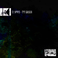 DJ Apois - The Gaiser