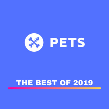 Various Artists - PETS Recordings best of 2019
