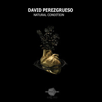 David Perezgrueso - Natural Condition
