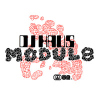 DJ Haus - Modul8