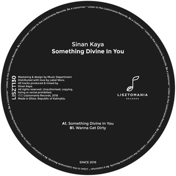 Sinan Kaya - Something Divine In You