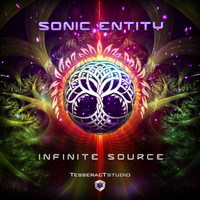 Sonic Entity - Infinite Source