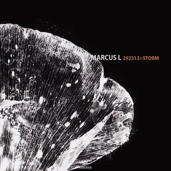 Marcus L - 292513 = STORM