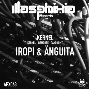 Iropi, Ånguita - Kernel