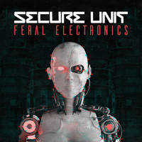 Secure Unit - Feral Electronics