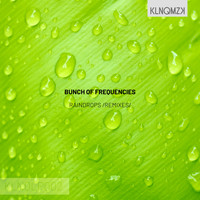 Bunch of Frequencies - Raindrops /Remixes/