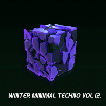 Various Artists - Winter Minimal Techno, Vol. 12. (Explicit)