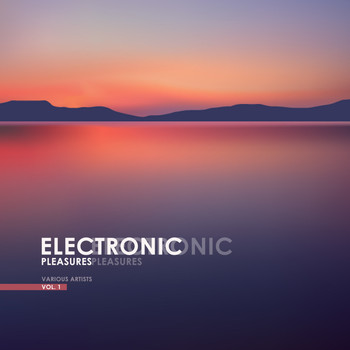 Various Artists - Electronic Pleasures, Vol. 1