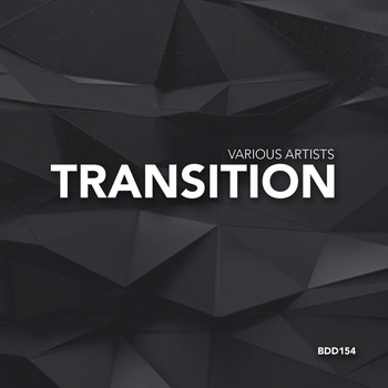 Various Artists - Transition