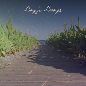 Various Artist - Boggs Boogie