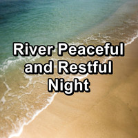 Nature Sounds Radio - River Peaceful and Restful Night