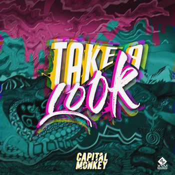 Capital Monkey - Take A Look