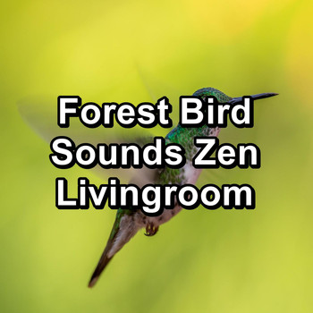 Bird Sound Collectors - Forest Bird Sounds Zen Livingroom