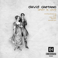 David Caetano - What is Love