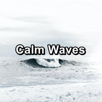 Nature Sounds Radio - Calm Waves