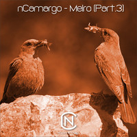 nCamargo - Melro, Pt. 3