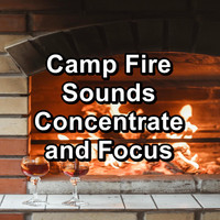 Sleep - Camp Fire Sounds Concentrate and Focus