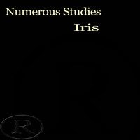 Numerous Studies - Iris