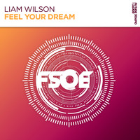 Liam Wilson - Feel Your Dream