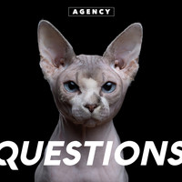 Agency - Questions (Explicit)