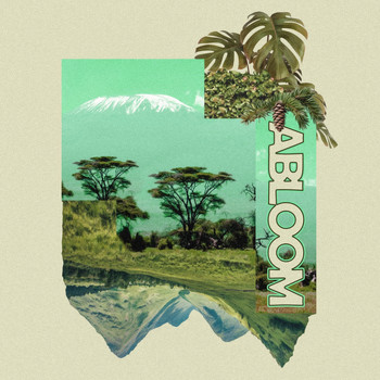 Mava - abloom