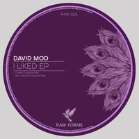 David Mod - I Liked EP