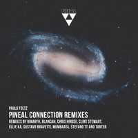 Paulo Foltz - Pineal Connection Remixes
