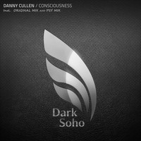 Danny Cullen - Consciousness