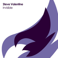 Steve Valentine - Invisible