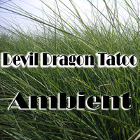 Devil Dragon Tatoo - Ambient (Explicit)