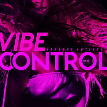 Various Artists - Vibe Control, Vol. 1