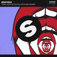 Bodyrox - Yeah Yeah (Chocolate Puma Remix)
