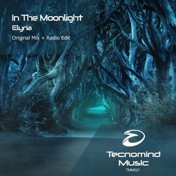 In The Moonlight - Elyria