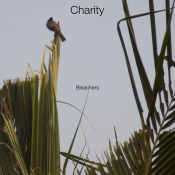 Bleachers - Charity