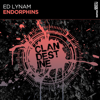 Ed Lynam - Endorphins