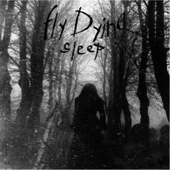 Fly Dying - Sleep