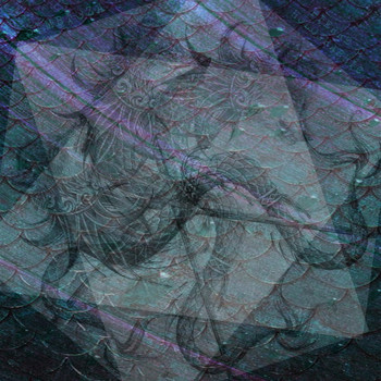 Pierre C - Holographic