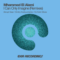 Mhammed El Alami - I Can Only Imagine (Remixes)