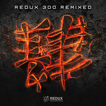 Various Artists - Redux Recordings 300 Remixed