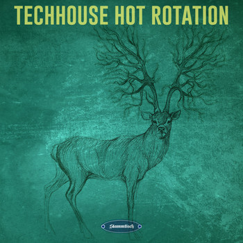 Various Artists - Techhouse Hot Rotation