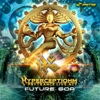 Hyperceptiohm - Future Goa