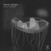 David Lohlein - Stress Forward EP