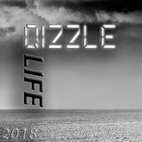Qizzle - Life