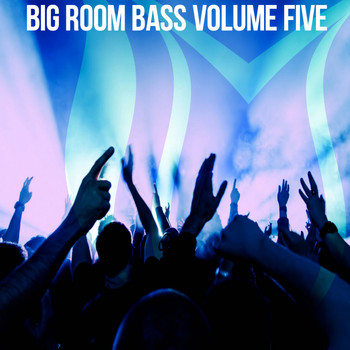 Various Artists - Big Room Bass, Vol. 5